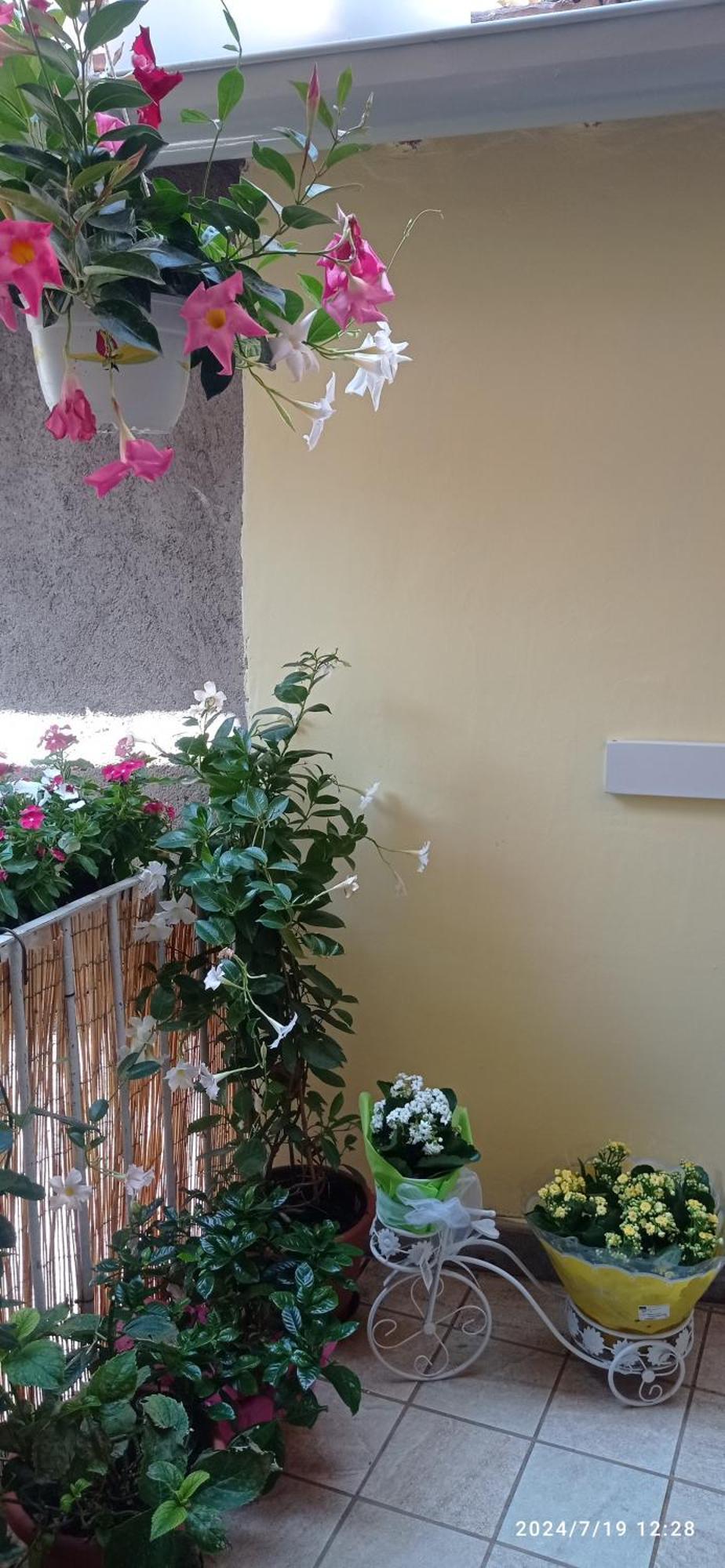 Residenza Del Sepale Daire Viterbo Dış mekan fotoğraf