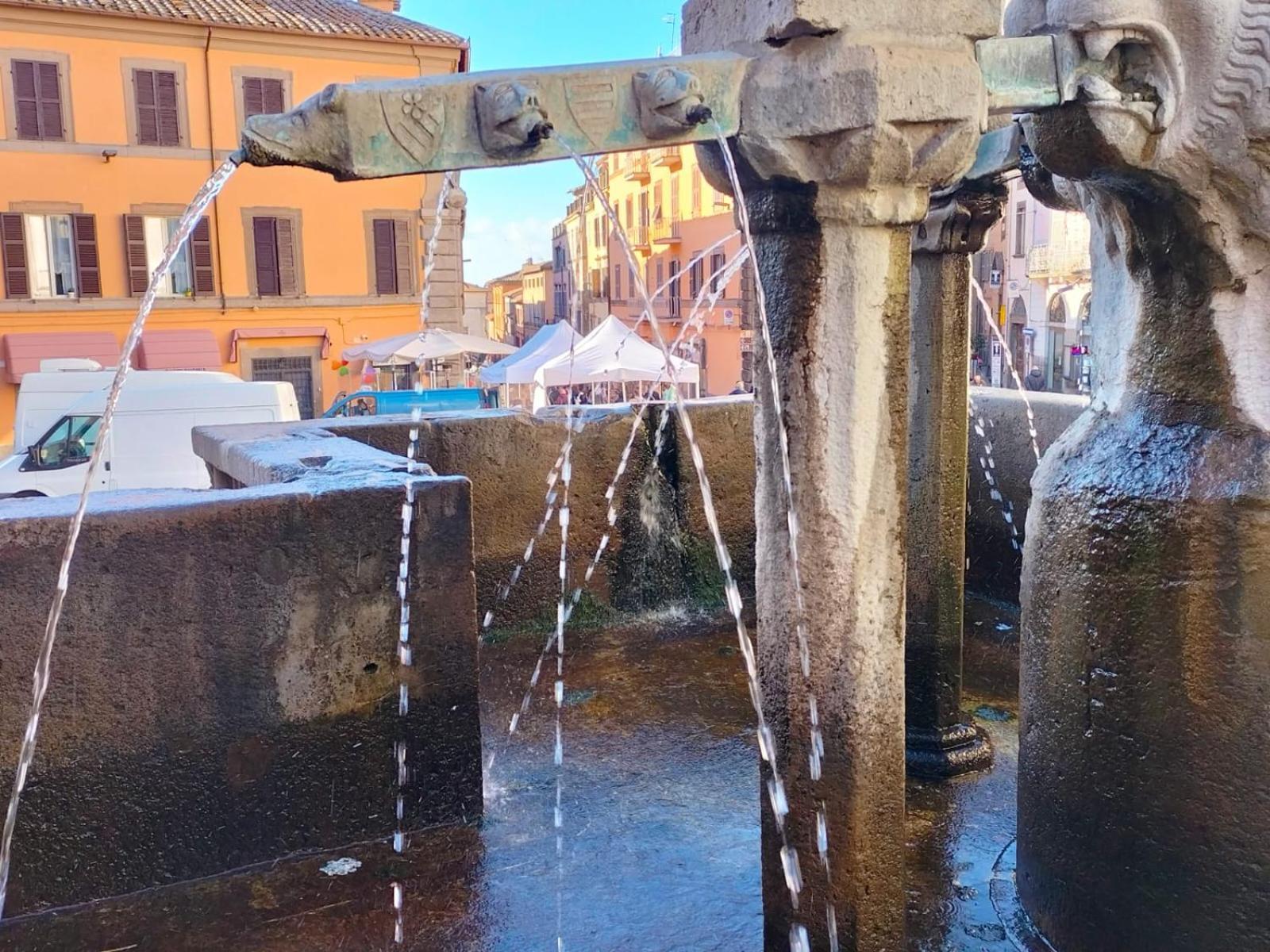 Residenza Del Sepale Daire Viterbo Dış mekan fotoğraf