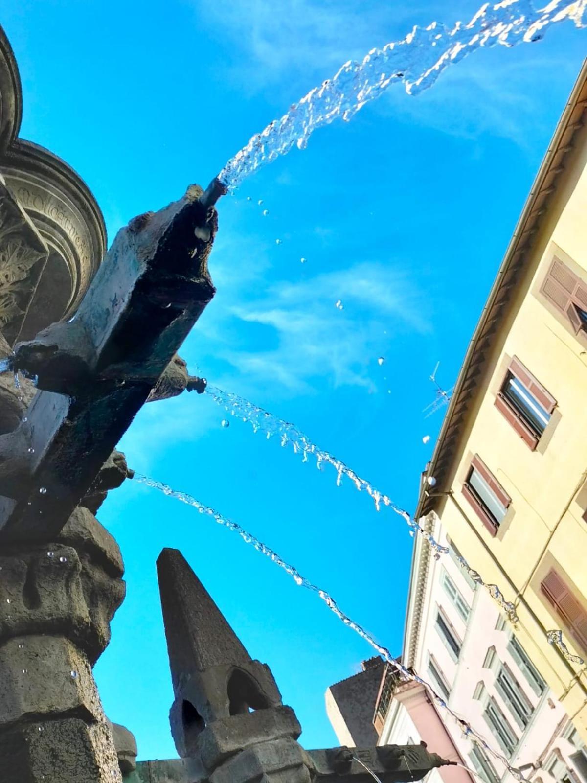 Residenza Del Sepale Daire Viterbo Dış mekan fotoğraf
